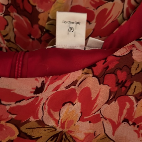 COLDWATER CREEK LINED SUNDRESS SIZE 12P 100% SILK, LINING 100% ACETATE VGUC - Picture 5 of 7